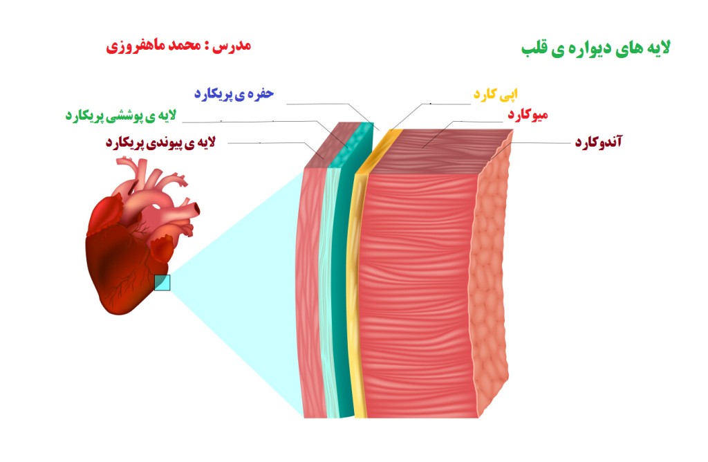 تماشای فیلم